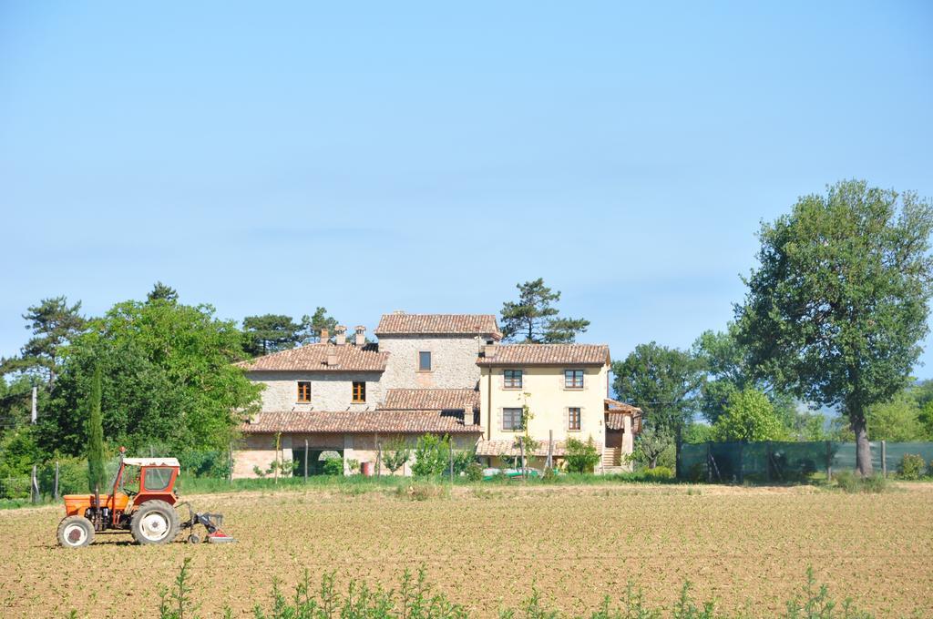 Ca' Matra Villa Lama  Buitenkant foto