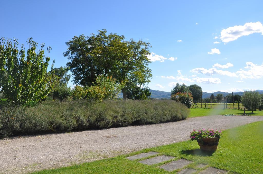Ca' Matra Villa Lama  Buitenkant foto