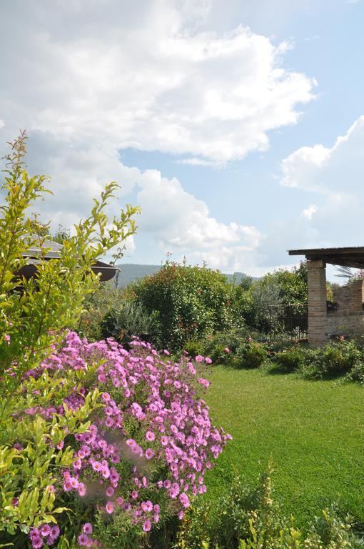 Ca' Matra Villa Lama  Buitenkant foto