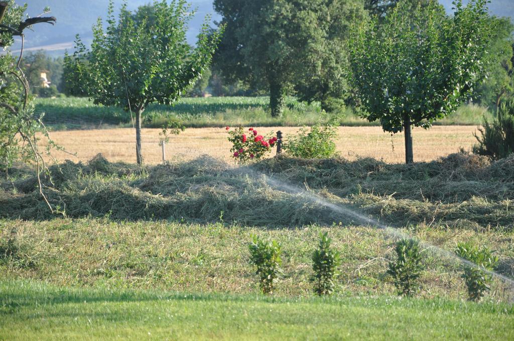 Ca' Matra Villa Lama  Buitenkant foto